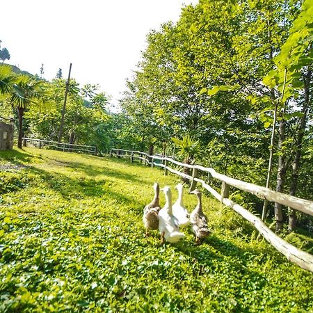 Oasis Gasamania Otel Batum Dış mekan fotoğraf