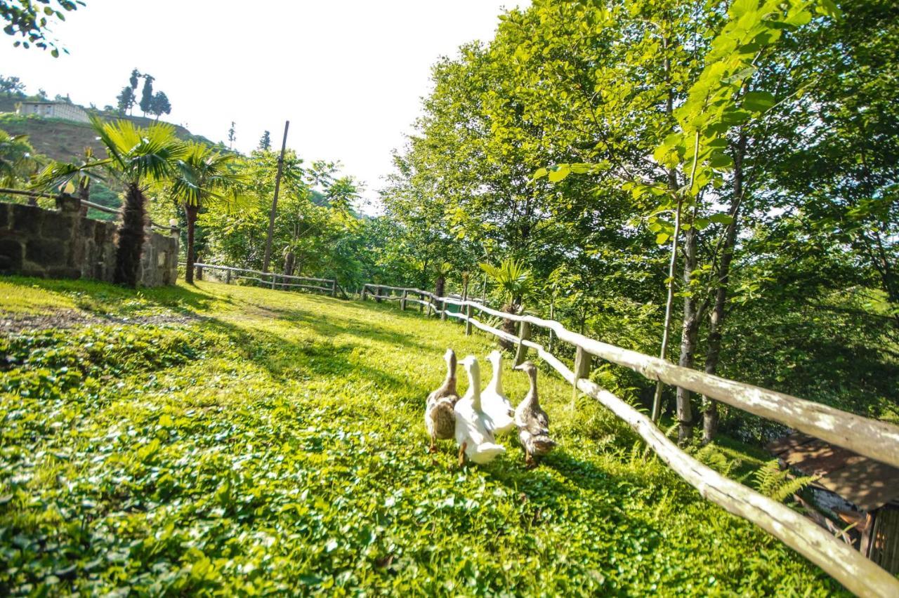 Oasis Gasamania Otel Batum Dış mekan fotoğraf